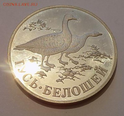 1р1998 Гусь-Белошей, Ag, пруф, до 29.05.2017, мск. - Гусь-1.JPG