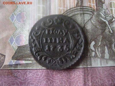 Полушка 1736г. До 28.05.2017г. - 023.JPG