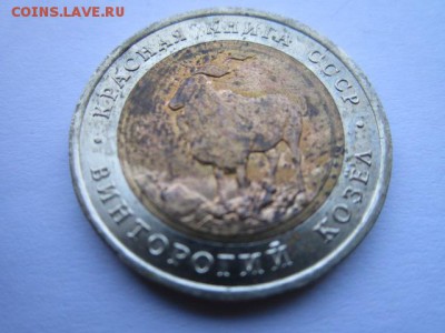 с 200 кк 1991 Козел до 30.05.2017 в 22:30 - IMG_3593.JPG