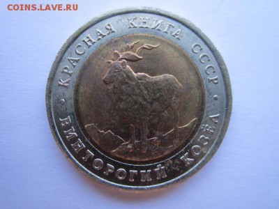 с 200 кк 1991 Козел до 30.05.2017 в 22:30 - IMG_3592.JPG