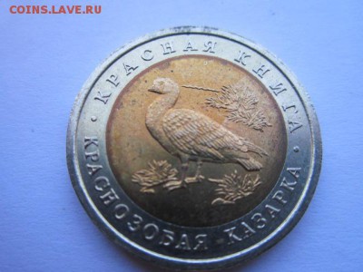 с 200 кк 1992 Казарка до 30.05.2017 в 22:30 - IMG_3585.JPG