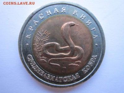 с 200 кк 1992 Кобра до 30.05.2017 в 22:30 - IMG_3604.JPG