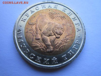 с 200 кк 1992 Тигр до 30.05.2017 в 22:30 - IMG_3601.JPG
