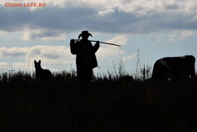 ФОТО - просто фото. Те что получились удачными. - DSC_0020.JPG
