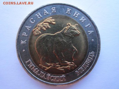 с 200 кк 1993 Медведь до 30.05.2017 в 22:30 - IMG_3596.JPG
