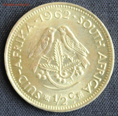 2с 1962г. ВОРОБЬИ  до 2.06 в 22-00 - IMG_7054.JPG