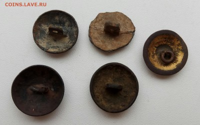 5 пуговиц не частых - IMG_20170528_082256