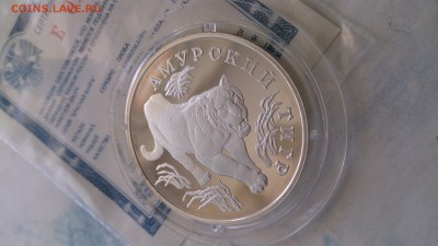 Набор Красная книга 1993+сертификаты до 2.06. 22.00 МСК - DSC_0464.JPG