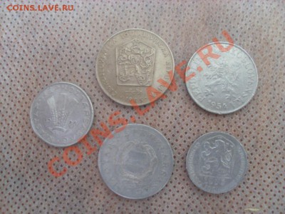 Какова стоимость? - SL383877.JPG