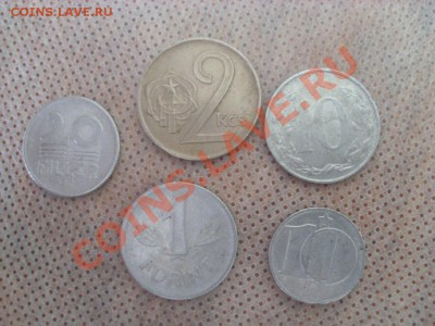 Какова стоимость? - SL383879.JPG