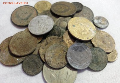 кучка погодовки раний и поздний ссср на опыты до01,06до22,00 - 20170520_181109