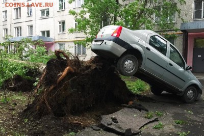 делает - прямо сейчас !!! - 754960655467055