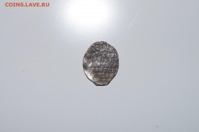 оцените чешуйку - DSC02069.JPG