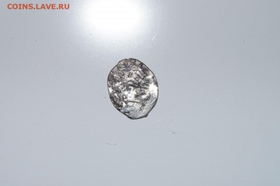 оцените чешуйку - DSC02071.JPG