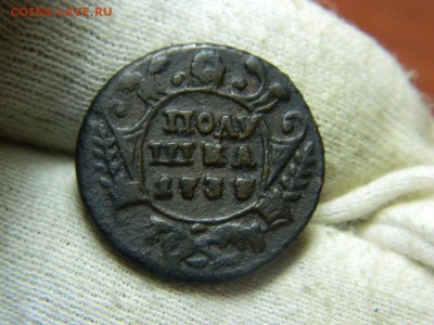 полушка 1737г - DSCN0242[1].JPG