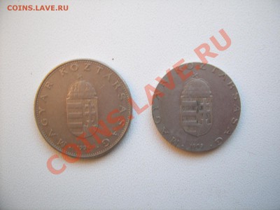 Брак или рукоблуд Венгрия - SUC53293.JPG