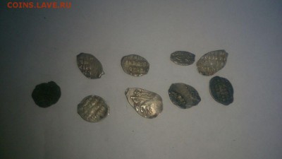Чешуйки на опознание(9шт). - ==чешуйки==1