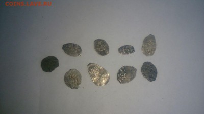 Чешуйки на опознание(9шт). - ==чешуйки==2