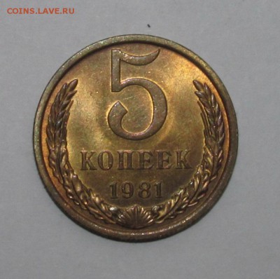 5 копеек 1981 г, штемпельная. - IMG_2337.JPG