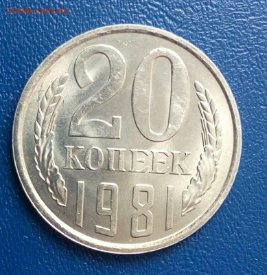 20 коп 1981 блеск,до 01.06. - dGShOuEsPgE