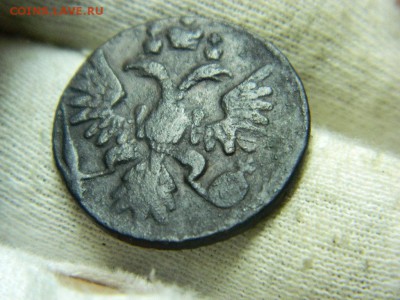 полушка 1737г, до 4.06 в 22 20 по мск - DSCN0245[1].JPG