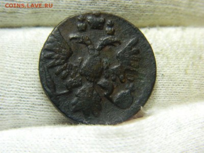 полушка 1737г, до 4.06 в 22 20 по мск - DSCN0243[1].JPG