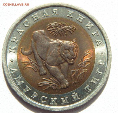 10 рублей 1992 КК АМУРСКИЙ ТИГР до 3.06.17 - DSCN6705.JPG