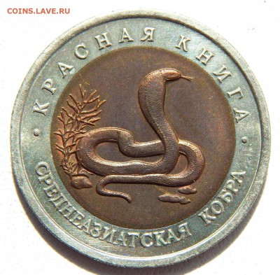 10 рублей 1992 КК СРЕДНЕАЗИАТСКАЯ КОБРА  до 3.06.17 - DSCN6701.JPG