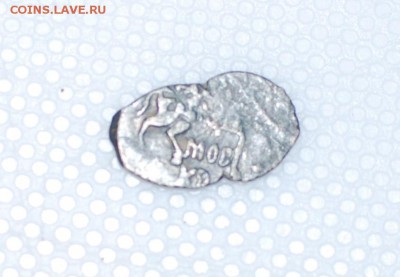 Чешуя - DSC_0135.JPG
