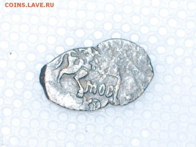 Чешуя - DSC_0136.JPG