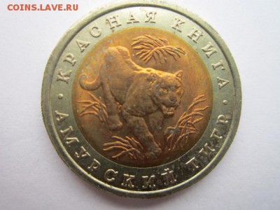 с 200 кк 1992 Тигр до 05.06.2017 в 22:30 - IMG_3719.JPG