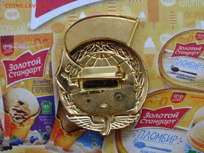 Значок 1000000 км пробега Железная Дорога до 22-00 03.06 - DSCF7127.JPG