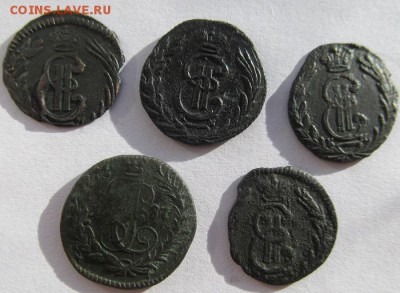 колыванские полушки 1769-1787, пять штук, состояние разное - IMG_0265.JPG