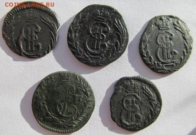 колыванские полушки 1769-1787, пять штук, состояние разное - IMG_0267.JPG