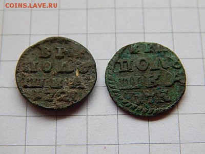 Полушка ВРП определение и оценка - DSCN2493.JPG