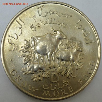 5 Шилингов 1970г. Сомали с 200р. до 04.06.17г. в 22:00 МСК - DSC_0001.JPG
