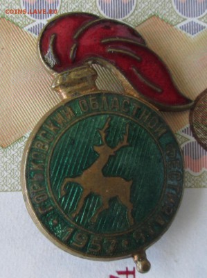 Значок фестиваль Горький 1957 до 22-00 06.06.17 года - IMG_1302.JPG