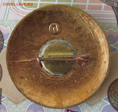 Значок фестиваль Калуга 1957 до 22-00 06.06.17 года - IMG_1308.JPG