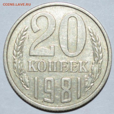20 копеек 1981г. № 142(шт.3к. 78г.) до 05.06.17 в 22:00 МСК - DSC_0001.JPG