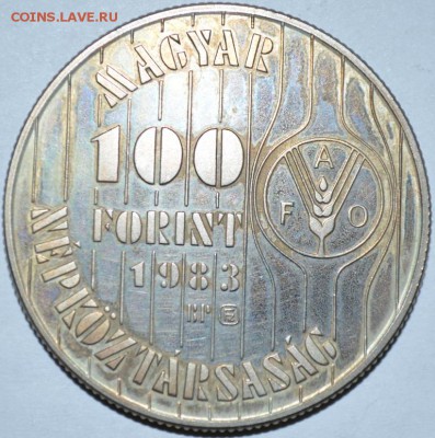 100 Форинтов 1983г. Венгрия с 200р. до 06.06.17г в 22:00 МСК - DSC_0002.JPG
