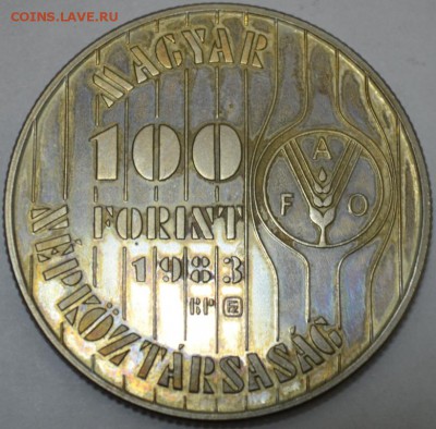 100 Форинтов 1983г. Венгрия с 200р. до 06.06.17г в 22:00 МСК - DSC_0001.JPG