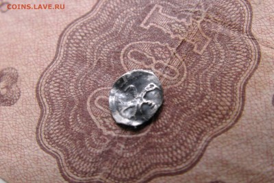 Чешуйки на оценку - IMG_1884.JPG