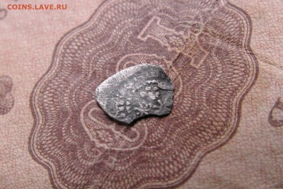 Чешуйки на оценку - IMG_1886.JPG