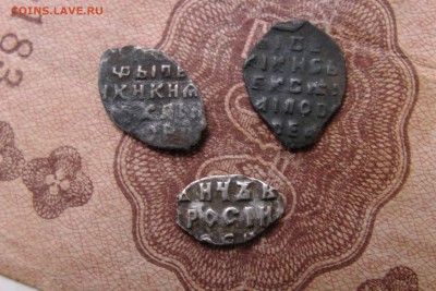 Чешуйки на оценку - IMG_1887.JPG