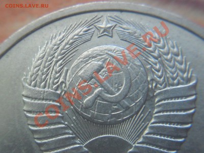 подскажите по разновидности, оцените - SDC13402.JPG