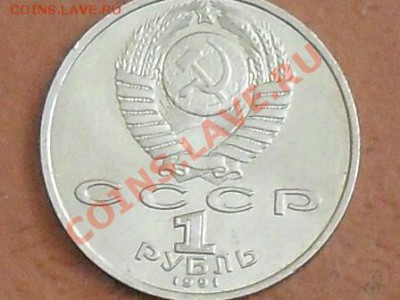 подскажите по разновидности, оцените - SDC13393.JPG