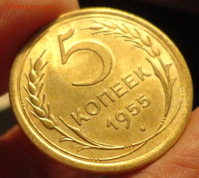 5 коп 1955г в блеске - 006.JPG