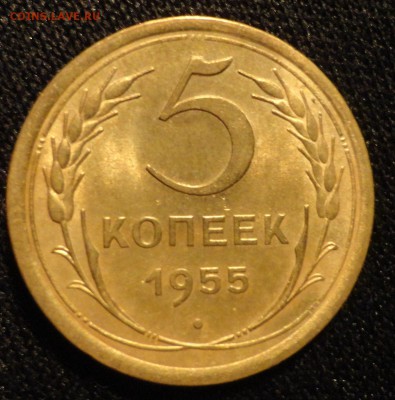 5 коп 1955г в блеске - 009.JPG