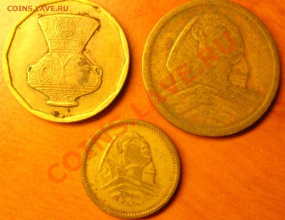 Египет? 10, 5, 1 - DSCN3102