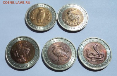 Красная Книга 1991+1992 с  200 р до 22:00 08.06.2017 - SAM_3669 (Копировать).JPG